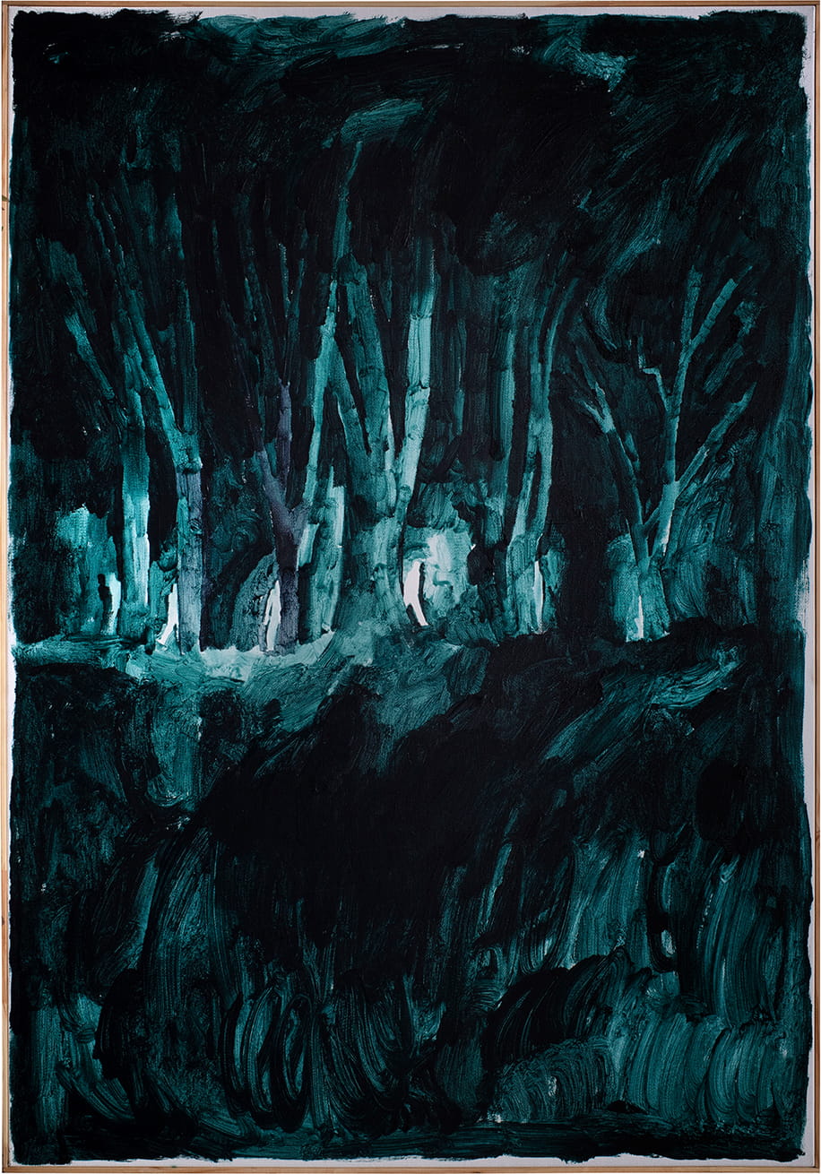 DARK LONELY FOREST