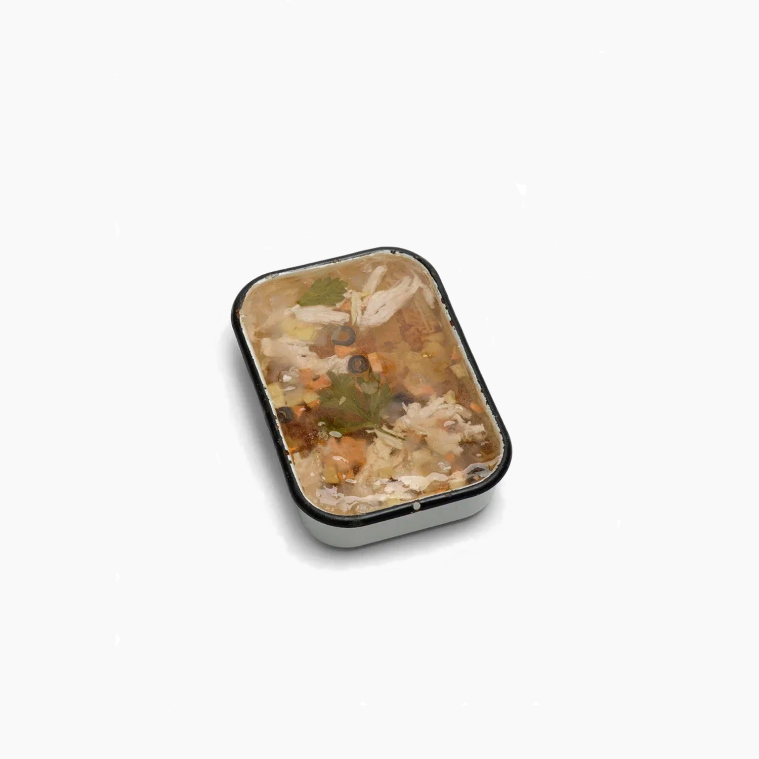 ASPIC №10