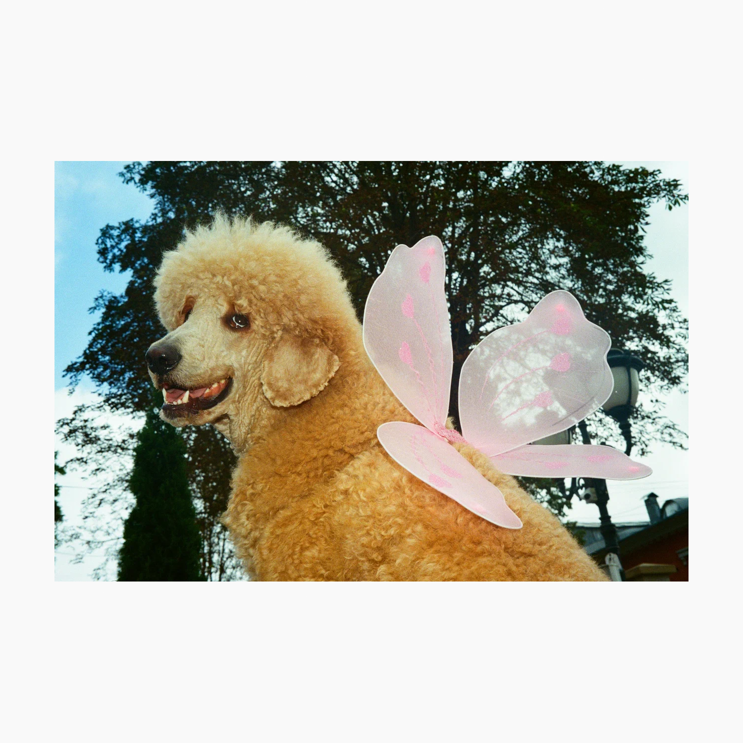 UMKA